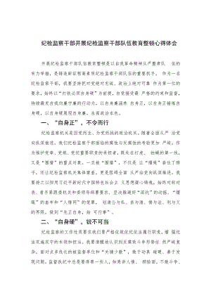 纪检监察干部开展纪检监察干部队伍教育整顿心得体会精选(通用六篇).docx