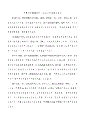 共青团专题培训研讨班结业学习体会发言.docx