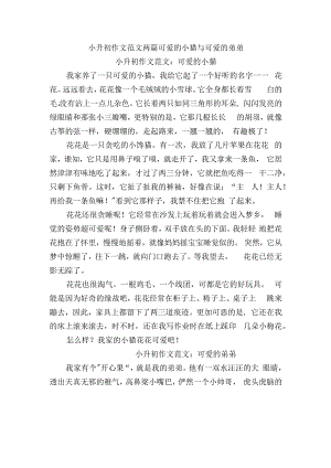 小升初作文范文两篇：可爱的小猫与可爱的弟弟.docx