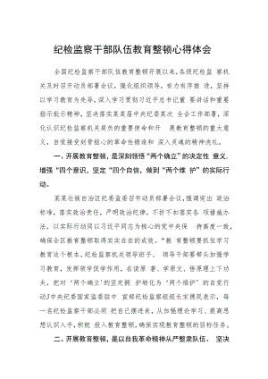 2023纪检监察干部队伍教育整顿心得体会(精选三篇通用范文).docx
