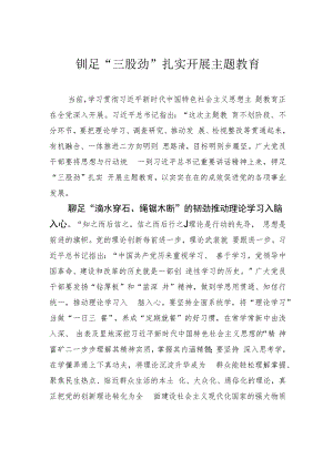 铆足“三股劲”扎实开展主题教育.docx