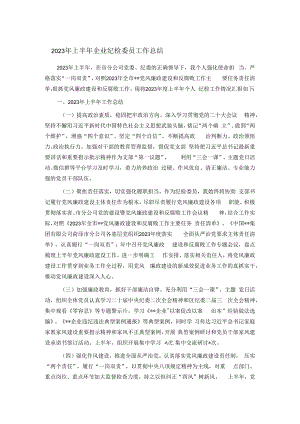 2023年上半年企业纪检委员工作总结.docx