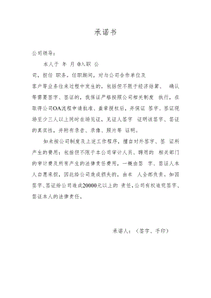 对外签字承诺函模板.docx