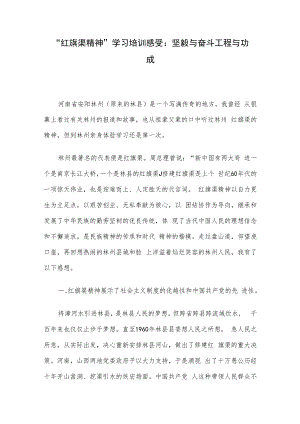 “红旗渠精神”学习培训感受：坚毅与奋斗工程与功成.docx