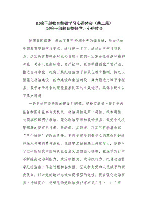 纪检干部教育整顿学习心得体会(共二篇).docx