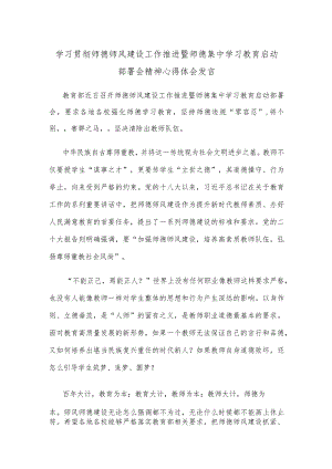 学习贯彻师德师风建设工作推进暨师德集中学习教育启动部署会精神心得体会发言.docx