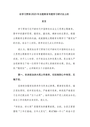 2023年在学习贯彻主题教育专题学习研讨会上的发言范文2篇.docx
