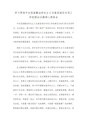 学习贯彻中央层面整治形式主义为基层减负专项工作机制会议精神心得体会.docx