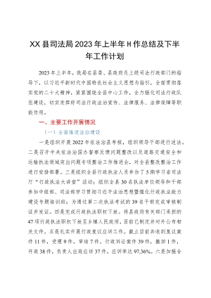 XX县司法局2023年上半年工作总结及下半年工作计划.docx