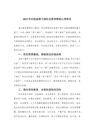 2023年纪检监察干部队伍教育整顿心得体会精选（共六篇）汇编供参考.docx