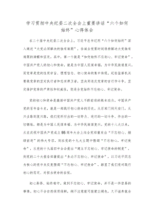 学习贯彻中央纪委二次全会上重要讲话“六个如何始终”心得体会.docx