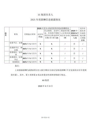 XX集团负责人202X年度薪酬信息披露情况.docx