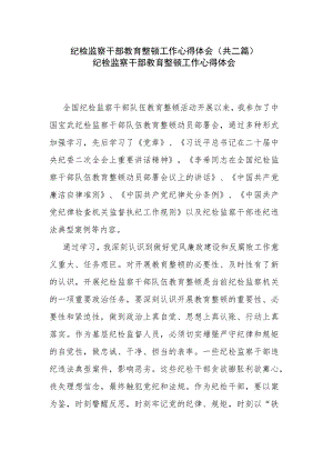 纪检监察干部教育整顿工作心得体会(共二篇).docx