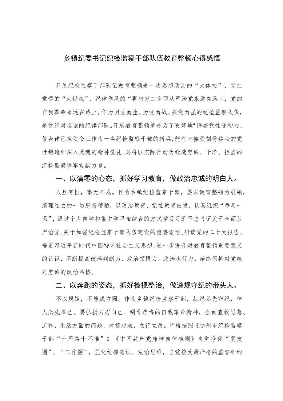 乡镇纪委书记纪检监察干部队伍教育整顿心得感悟精选（共六篇）汇编供参考.docx_第1页