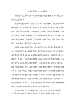 学习共青团第十九次全国代表大会心得体会.docx