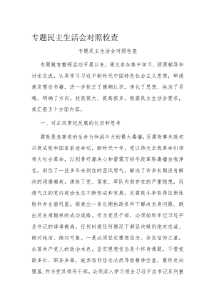 专题民主生活会对照检查.docx