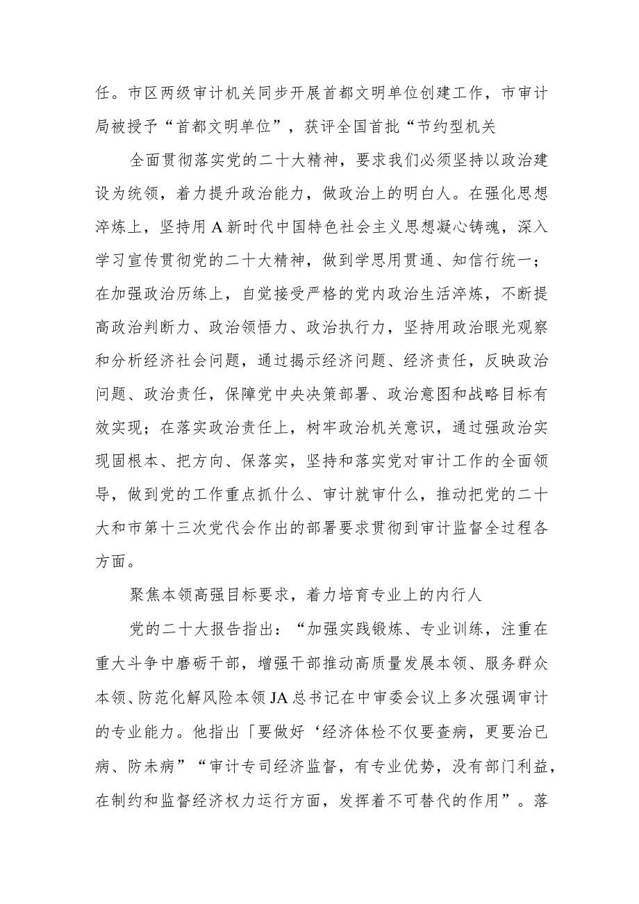 建设堪当重任的审计干部队伍.docx_第3页