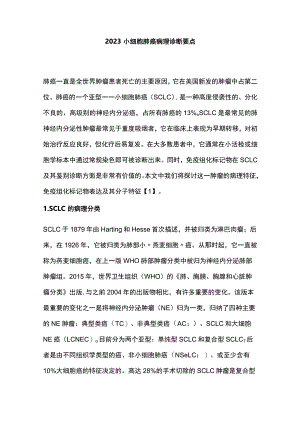 2023小细胞肺癌病理诊断要点.docx