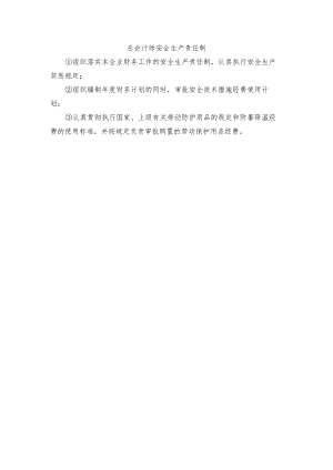 总会计师安全生产责任制.docx