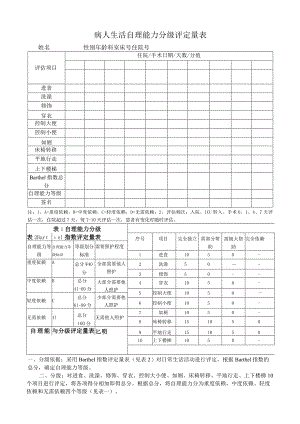 病人生活自理能力分级评定量表.docx