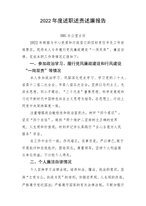 2022年度述职述责述廉报告模板.docx