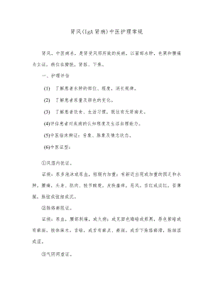 肾风（IgA肾病）中医护理常规.docx