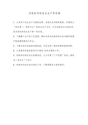 浮选机司机安全生产责任制.docx