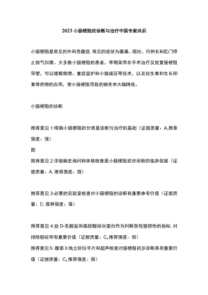 2023小肠梗阻的诊断与治疗中国专家共识.docx