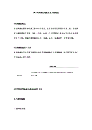 2023胸痛的处置规范及流程图.docx