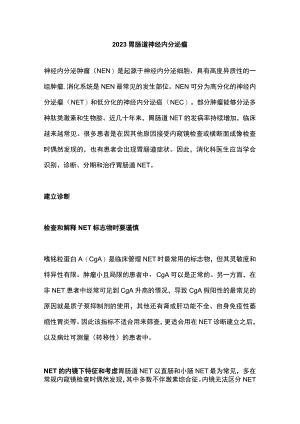 2023胃肠道神经内分泌瘤.docx