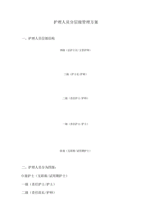 护理人员分层级管理方案.docx