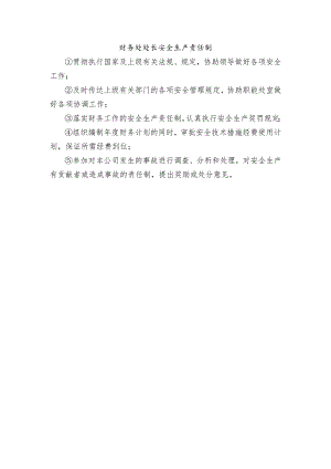 财务处处长安全生产责任制.docx