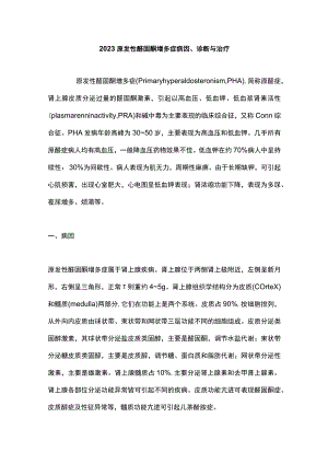 2023原发性醛固酮增多症病因、诊断与治疗.docx