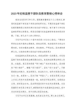 2023年纪检监察干部队伍教育整顿心得体会(精华三篇).docx