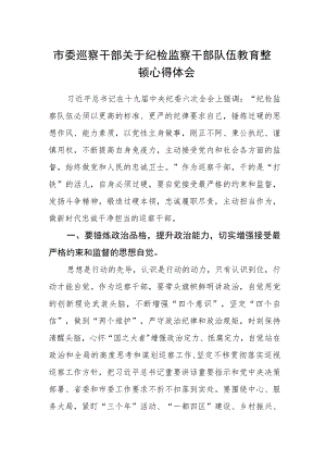 市委巡察干部关于纪检监察干部队伍教育整顿心得体会.docx