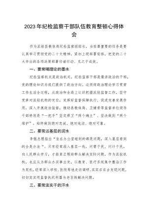 (3篇)纪检监察干部队伍教育整顿心得体会范文精选.docx