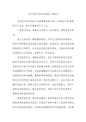 关于领导干部作风建设心得体会.docx