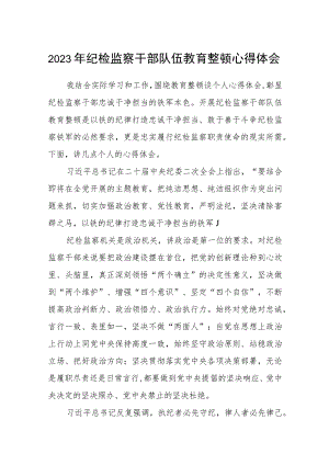 2023年纪检监察干部队伍教育整顿心得体会(最新三篇).docx