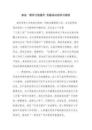 2023年参加“抓学习促提升”专题培训班学习感悟范文2篇.docx