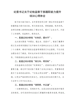 纪委书记关于纪检监察干部履职能力提升培训心得体会.docx