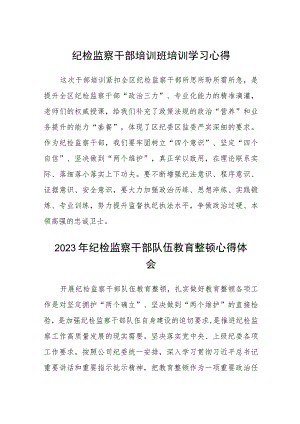(三篇)纪检监察干部培训班培训学习心得最新.docx