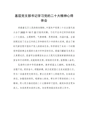 基层党支部书记学习党的二十大精神心得体会.docx