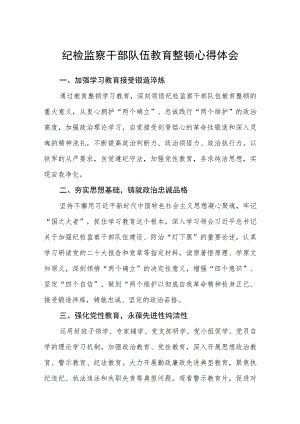 2023纪检监察干部队伍教育整顿心得体会范文(精选3篇).docx