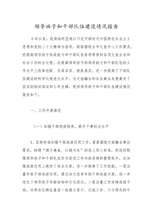 领导班子和干部队伍建设情况报告.docx