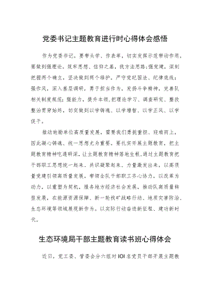 党委书记主题教育进行时心得体会感悟范文（参考三篇）.docx