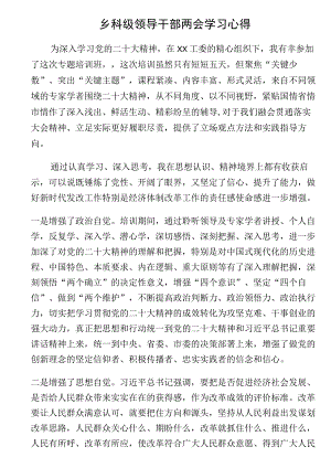 乡科级领导干部两会学习心得.docx