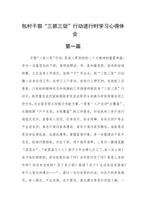 包村干部“三抓三促”行动进行时学习心得体会精选六篇.docx