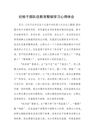 纪检干部队伍教育整顿学习心得体会.docx