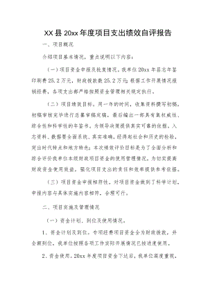 xx县20xx年度项目支出绩效自评报告.docx