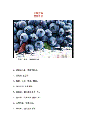水果蓝莓宣传语录.docx